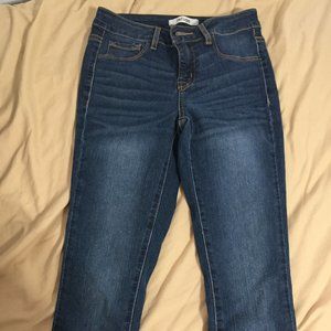 Refuge Jeggings